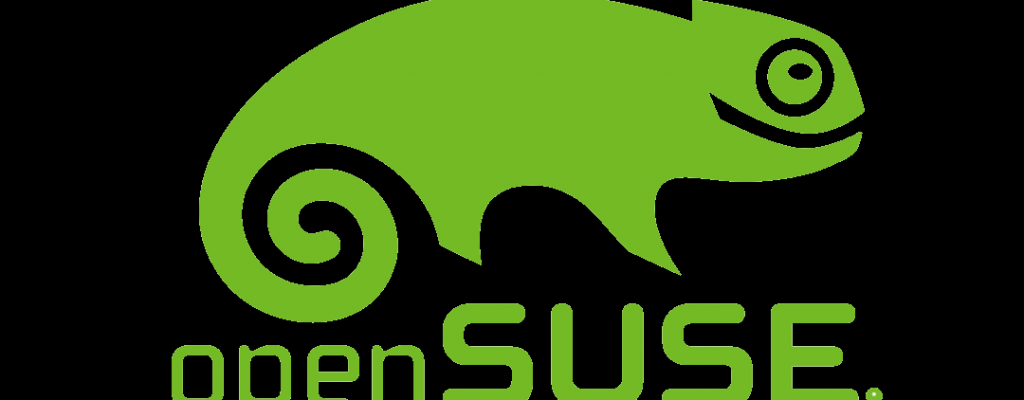 the suse lizard