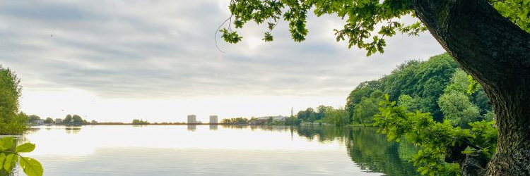 Edgbaston reservoir
